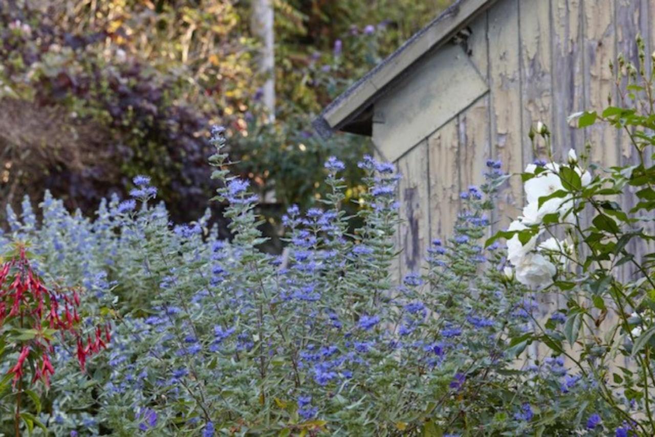 Lavender Cottage Beer Eksteriør billede